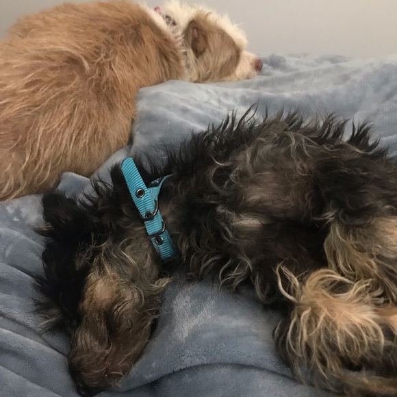 Meet your Posher, Iva - Picture 2 of 3